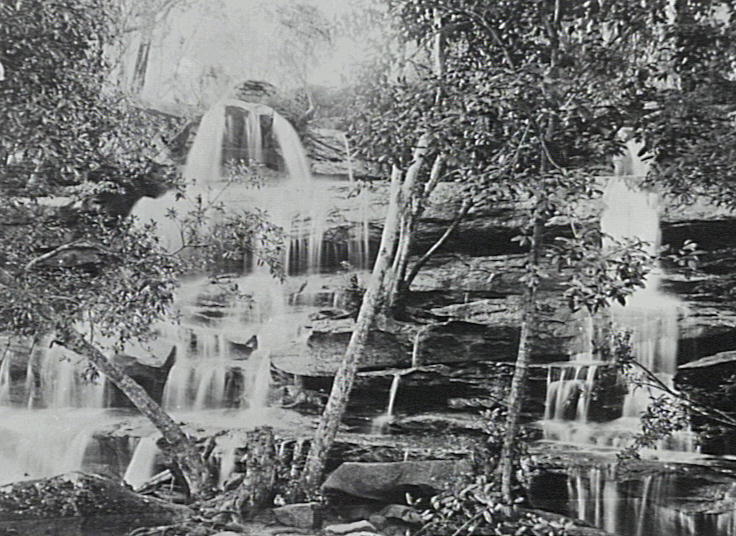 Mosman Waterfalls, 1890s