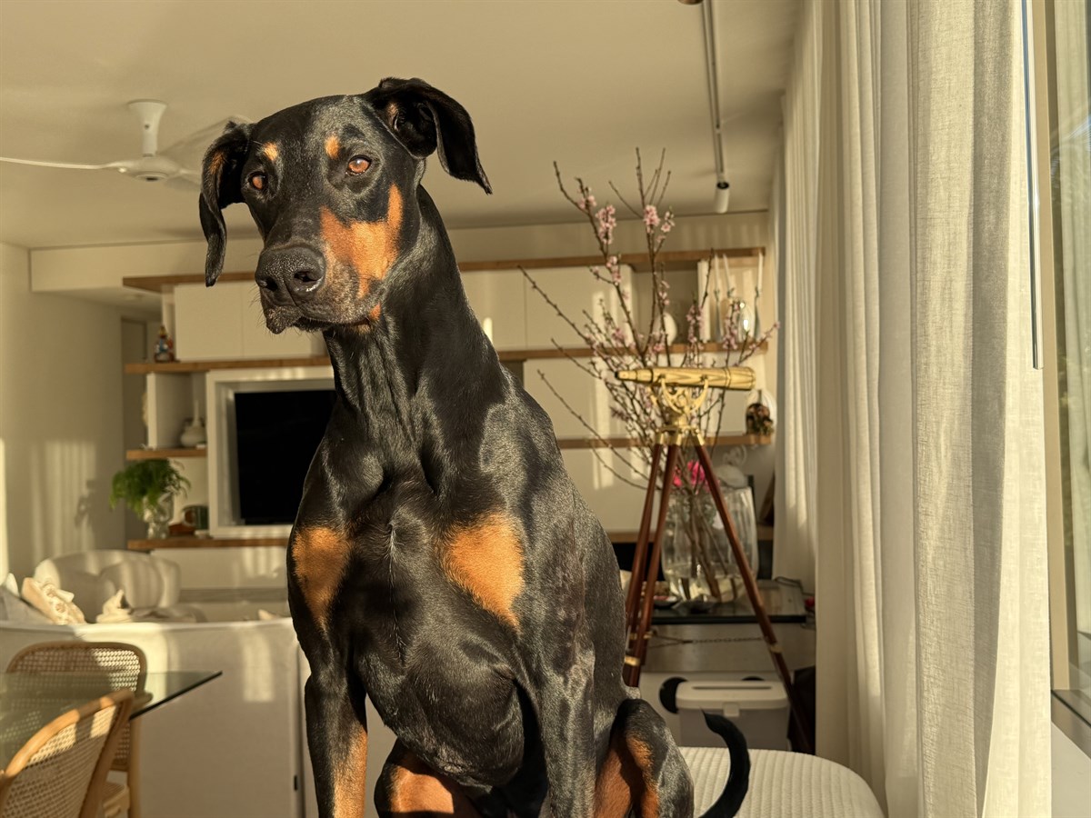 Tyson